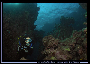 Read Sea exploration... Que du bonheur... by Michel Lonfat 